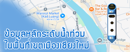 City flood map